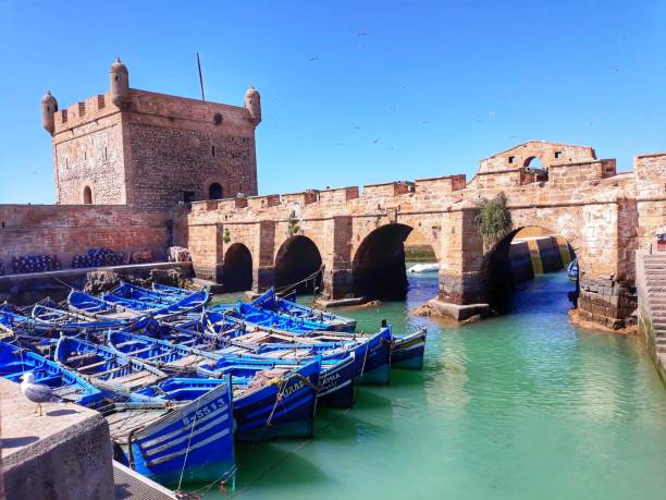 Essaouira — vue 4